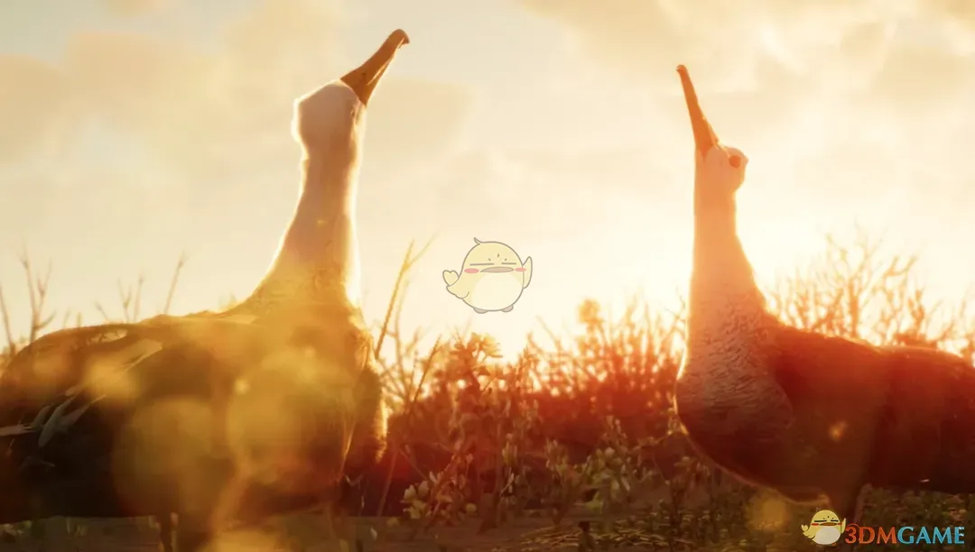 《动物园之星》新物种加岛信天翁MOD