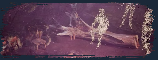 《莫拉之声》demo