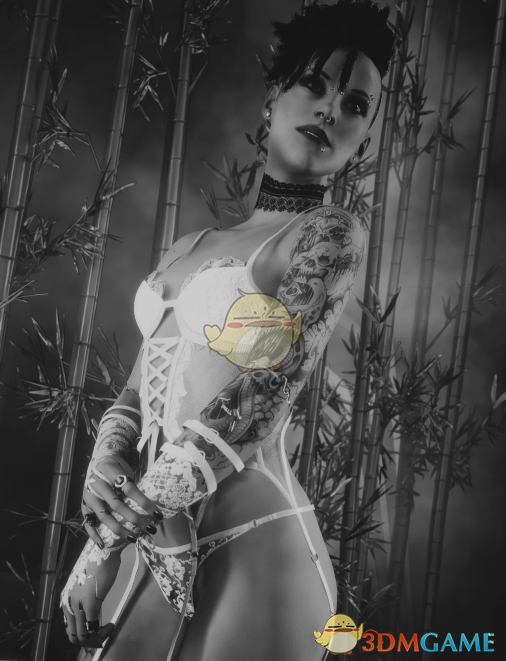 《赛博朋克2077》性感花卉蕾丝内衣MOD