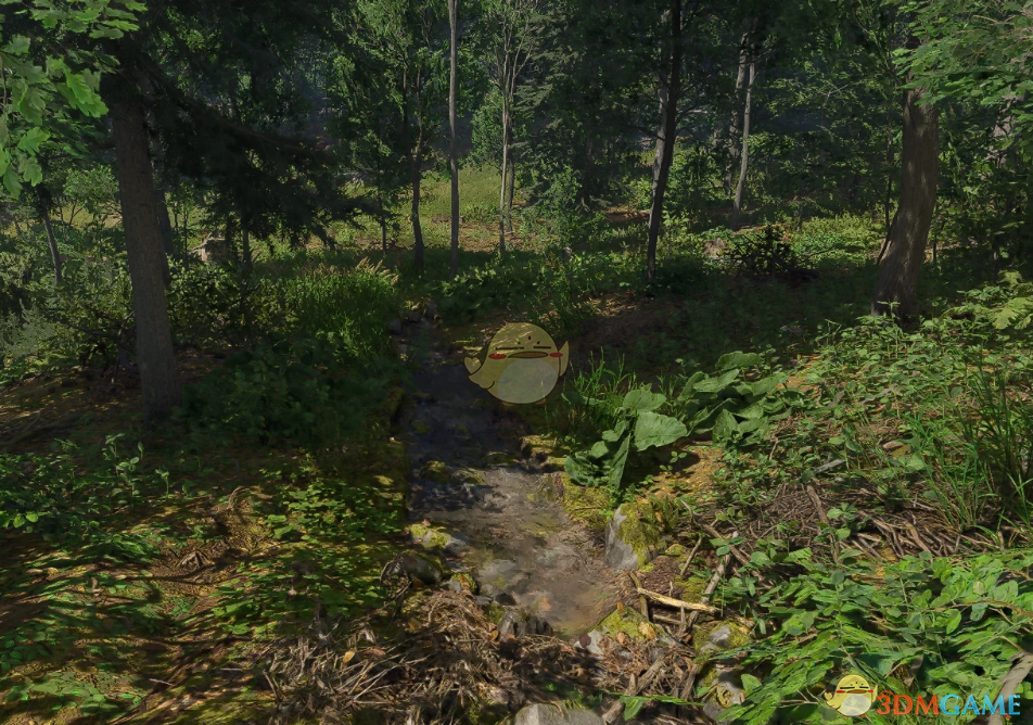 《天国：拯救2》更干净的视觉效果MOD