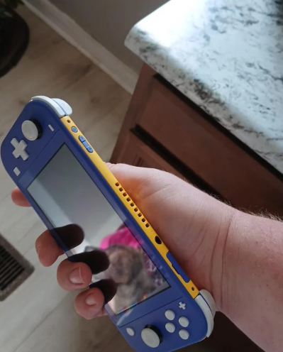 ɹƴɫSwitch Liteע ʵ7꺢֮