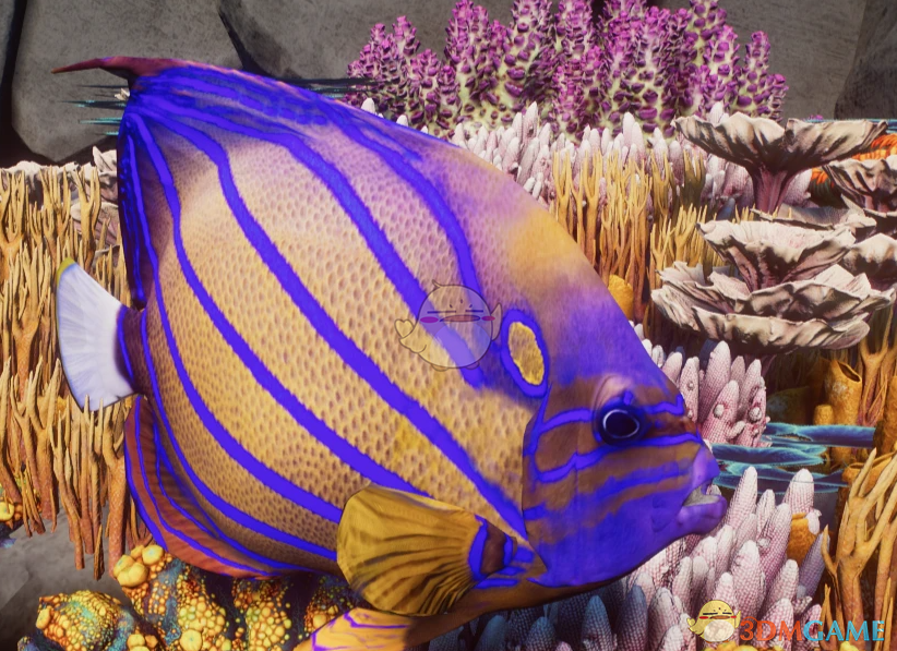 《动物园之星》新物种蓝环神仙鱼MOD