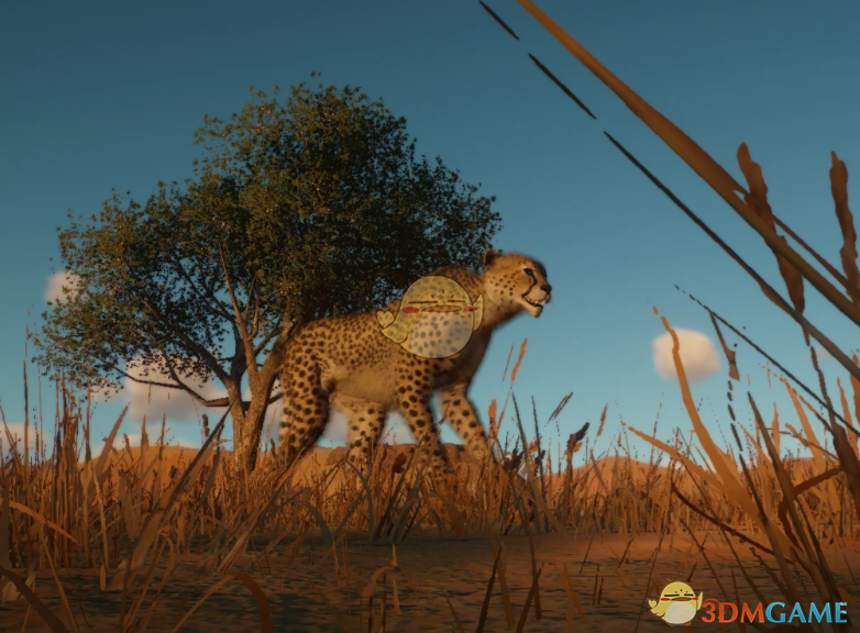 《动物园之星》新物种亚洲猎豹MOD