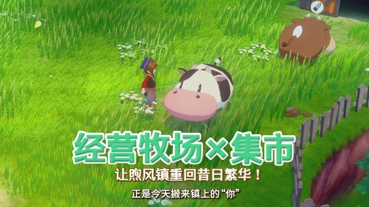  ɣ֮СʽۣӰƬۼ廭
