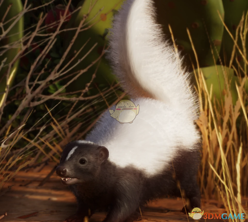 《动物园之星》新物种北美臭鼬MOD