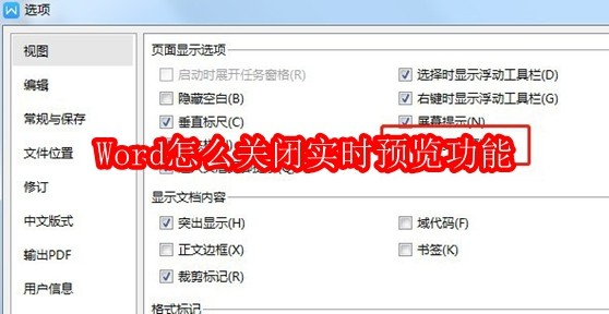 Word怎么关闭实时预览功能
