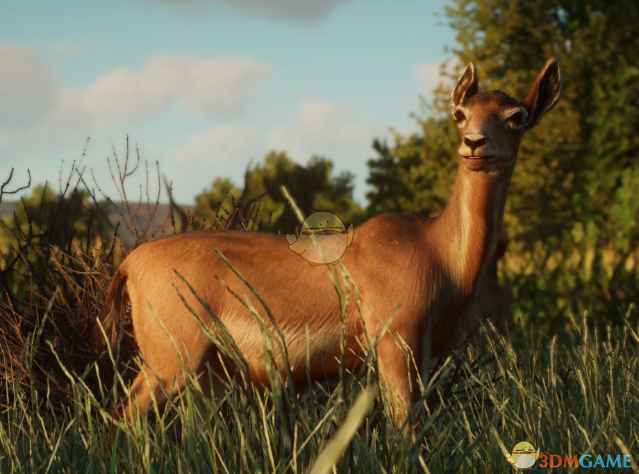 《动物园之星》新物种扭角羚羊MOD