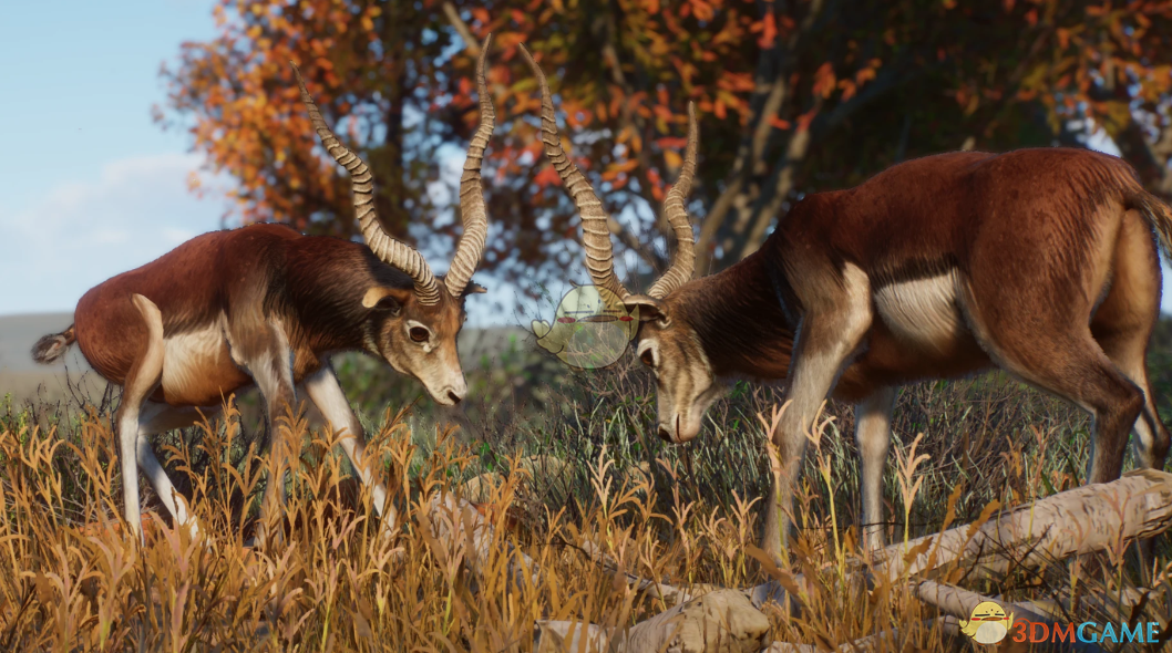 《动物园之星》新物种扭角羚羊MOD