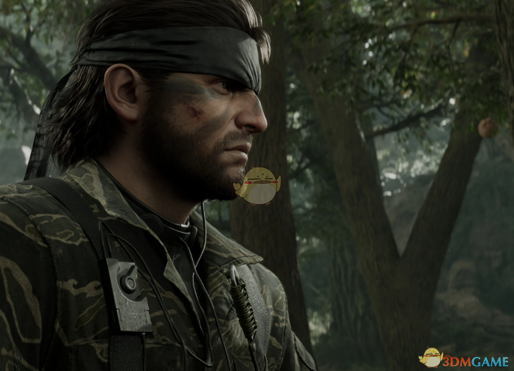 《合金装备3：重制版》引擎调整MOD