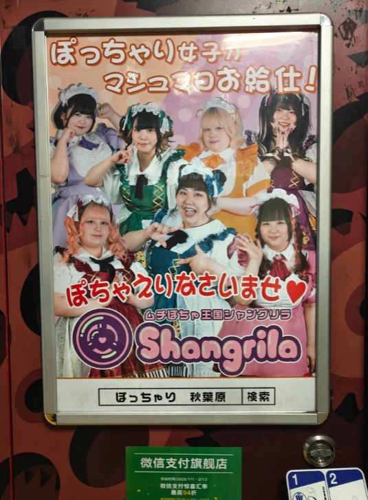 秋叶原能治好宅男的爱压抑吗？