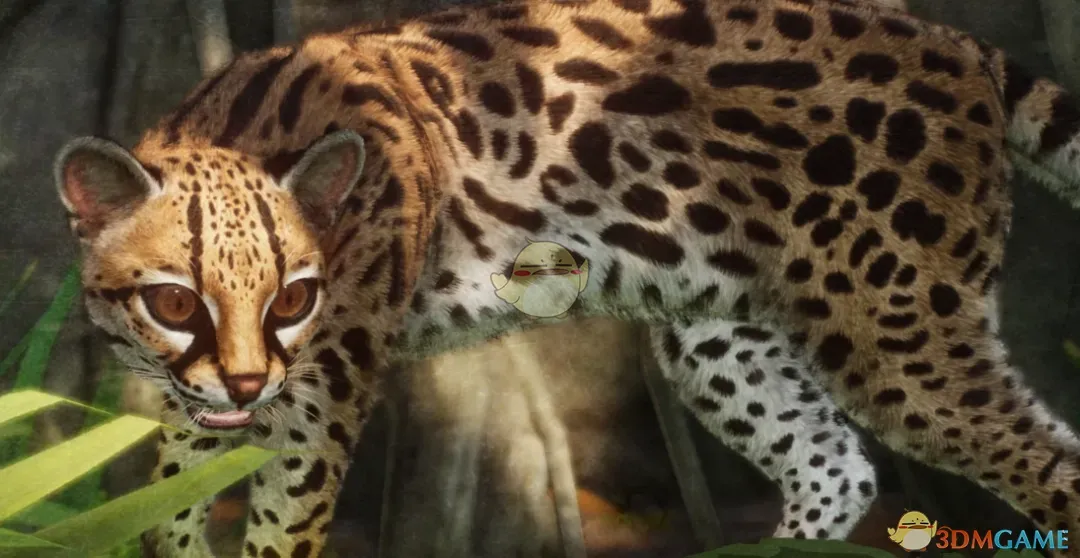 《动物园之星》新物种长尾猫MOD