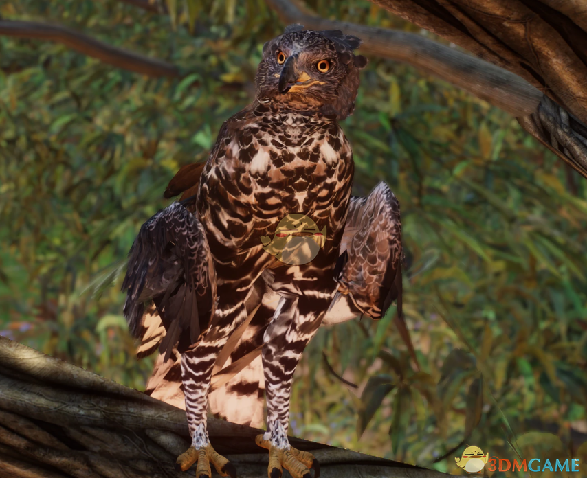 《动物园之星》新物种冠鹰雕MOD