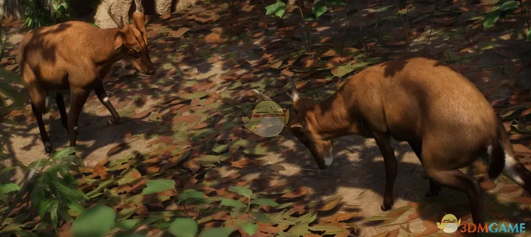 《动物园之星》新物种越南大麂MOD