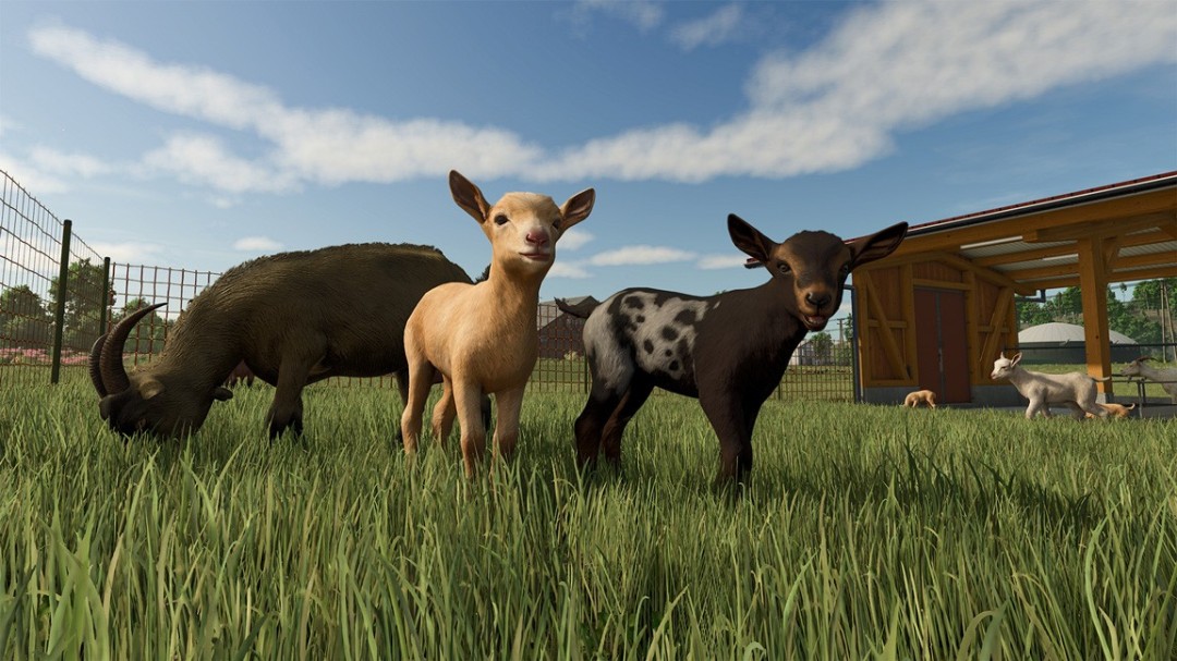 Farming Simulator 25 չMercedes-Benz 