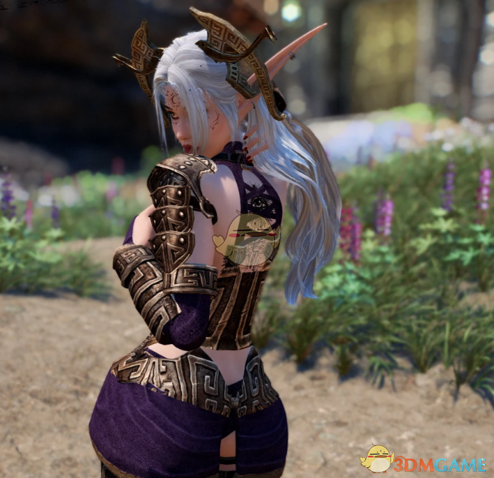 《上古卷轴5：天际重制版》泡泡糖矮人盔甲MOD