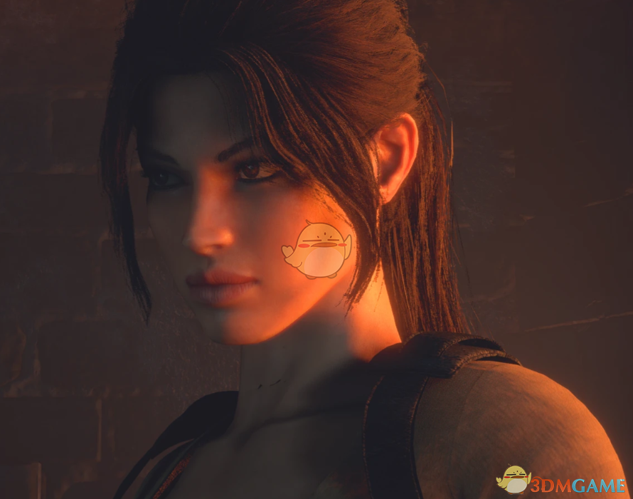 《生化危机4：重制版》古墓丽影传奇劳拉替换艾达MOD