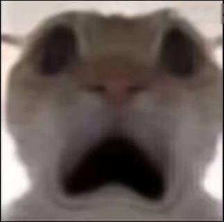 ð׿ԣ׿èҶǵײ㰲׿ˣ