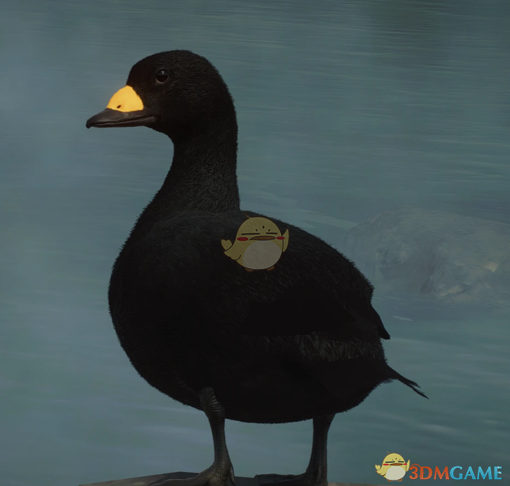 《动物园之星》新物种黑海番鸭MOD