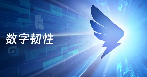 钉钉网页版登录入口在哪