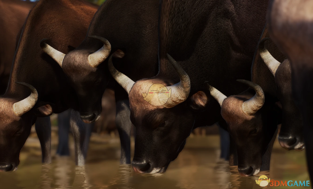 《动物园之星》新物种印度野牛MOD