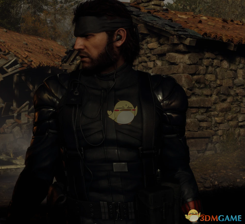 《生化危机4：重制版》合金装备3斯内克替换里昂MOD