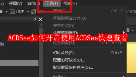 ACDSee如何开启使用ACDSee快速查看
