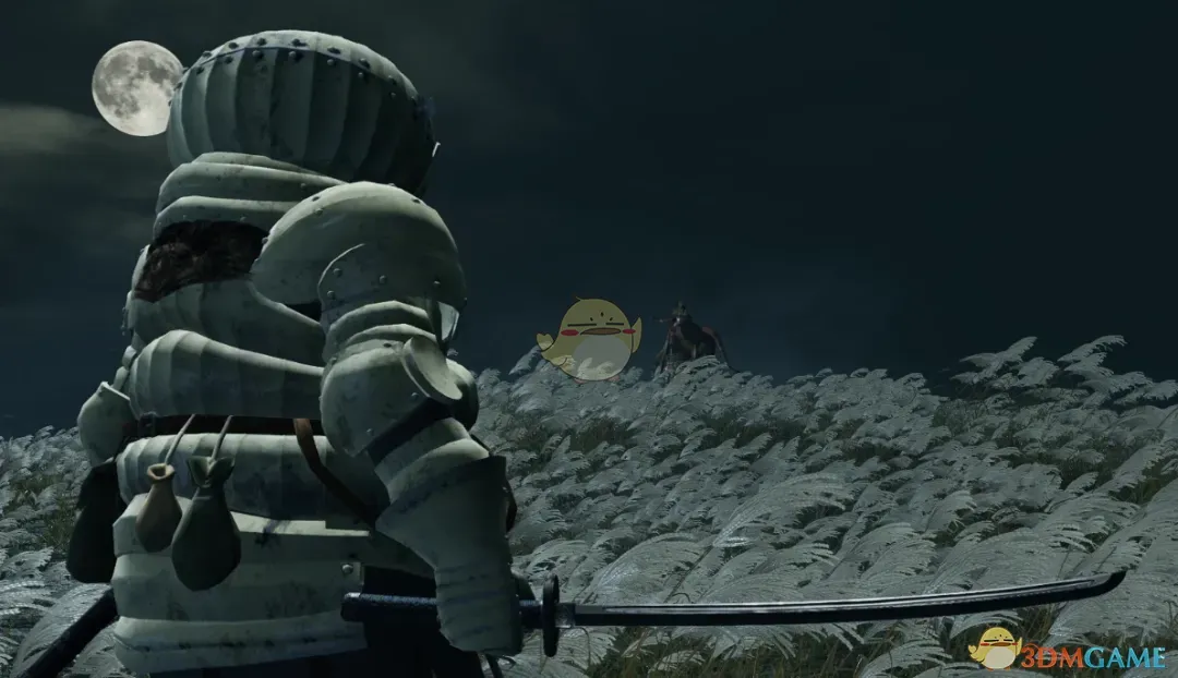 《只狼:影逝二度》黑魂洋葱骑士替换狼MOD