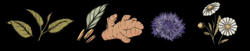 《Sips and Sonnets》免安装版