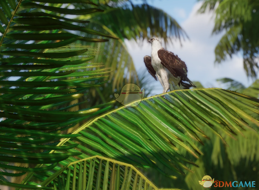 《动物园之星》新物种鹗MOD