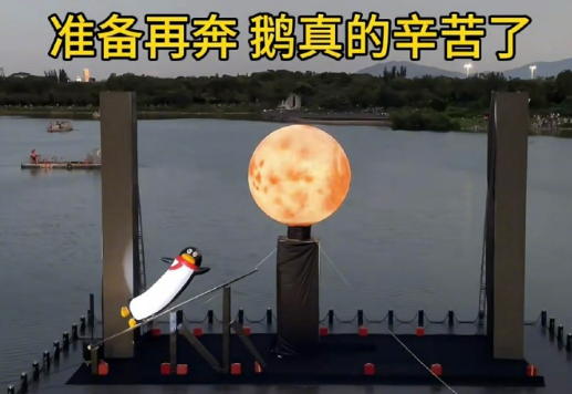 챼¡ˣ球探足球比分Ƴ´