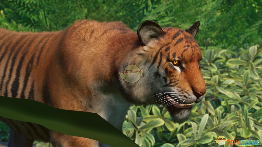 《动物园之星》新物种爪哇巨虎MOD
