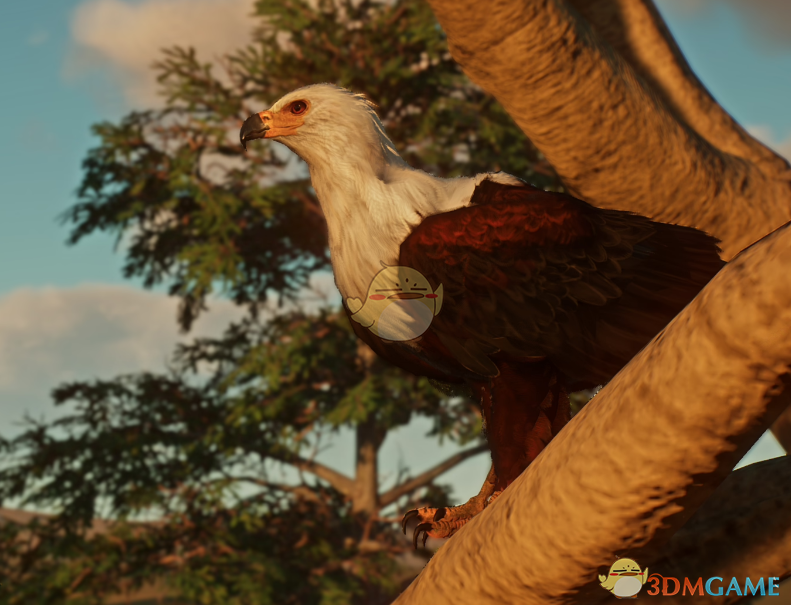 《动物园之星》新物种非洲海雕MOD