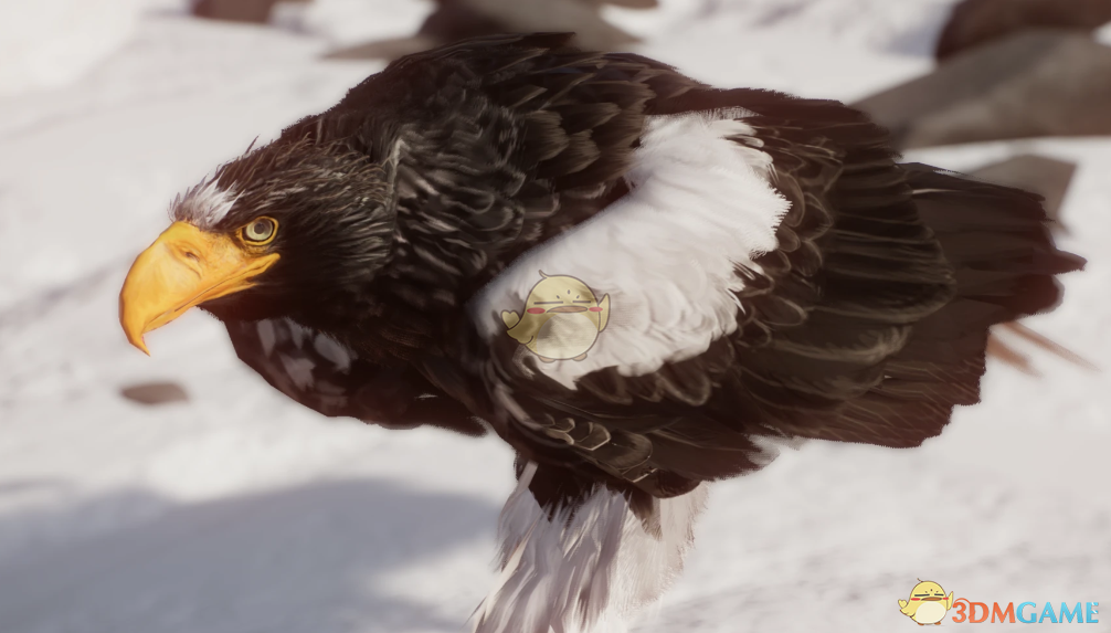 《动物园之星》新物种虎头海雕MOD