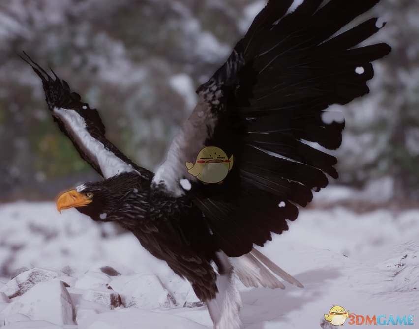 《动物园之星》新物种虎头海雕MOD