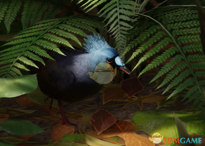 《动物园之星》新物种所罗门冕鸽MOD