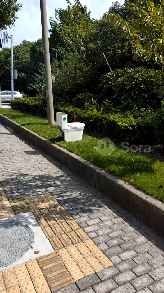 SoraAIˮӡܿɵĺݻ