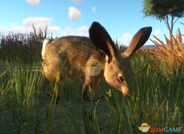 《动物园之星》新物种非洲野兔MOD