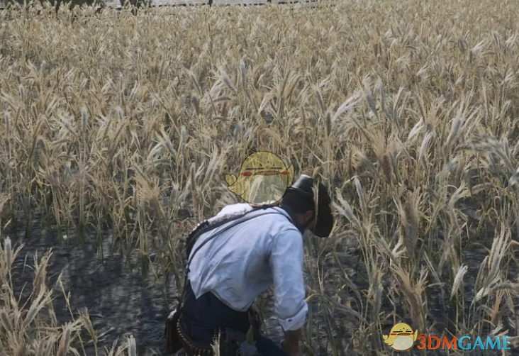 《荒野大镖客2》牧场工作MOD