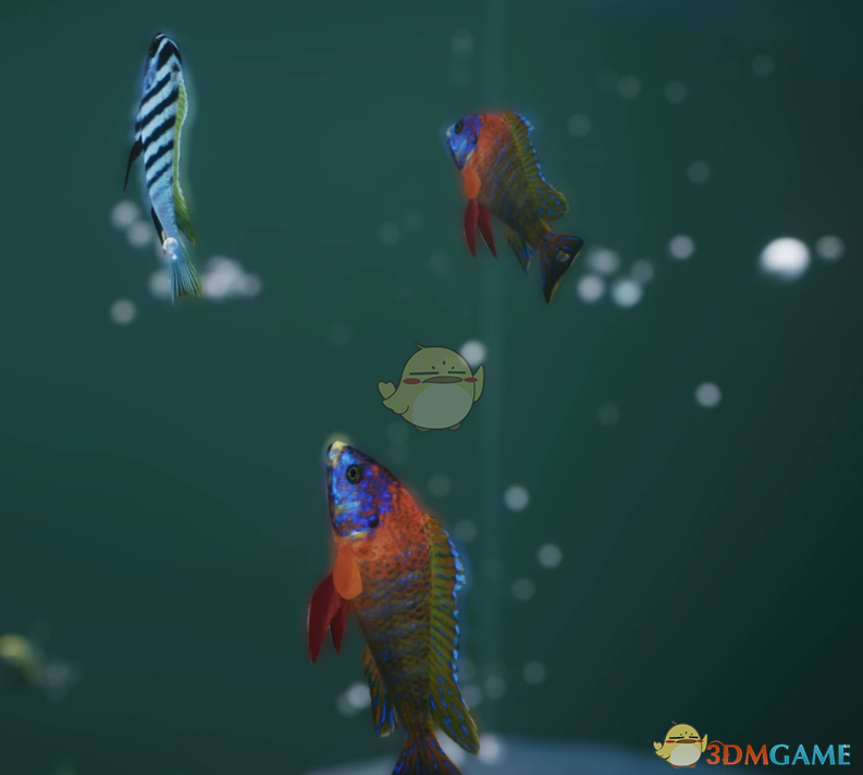 《动物园之星》新物种红宝石鱼MOD