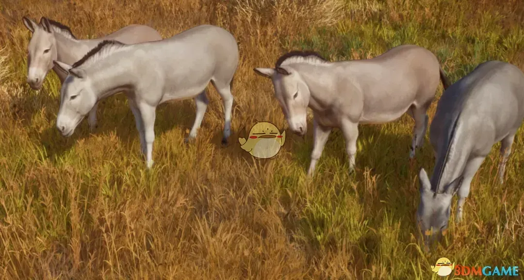 《动物园之星》新物种努比亚野驴MOD