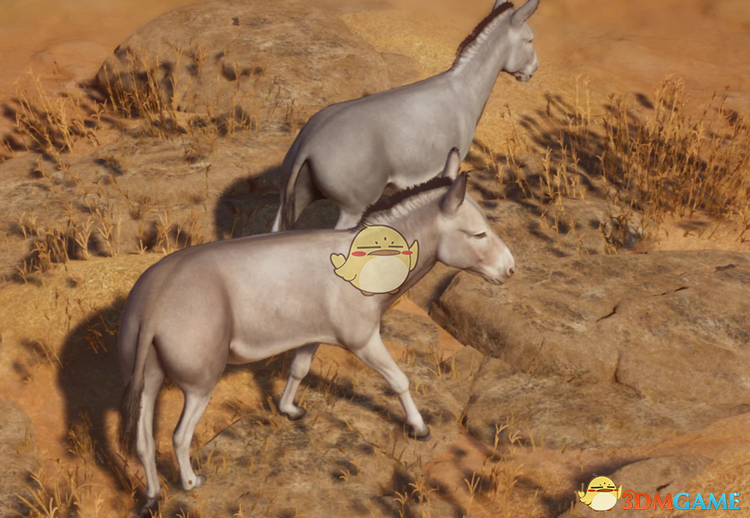 《动物园之星》新物种努比亚野驴MOD