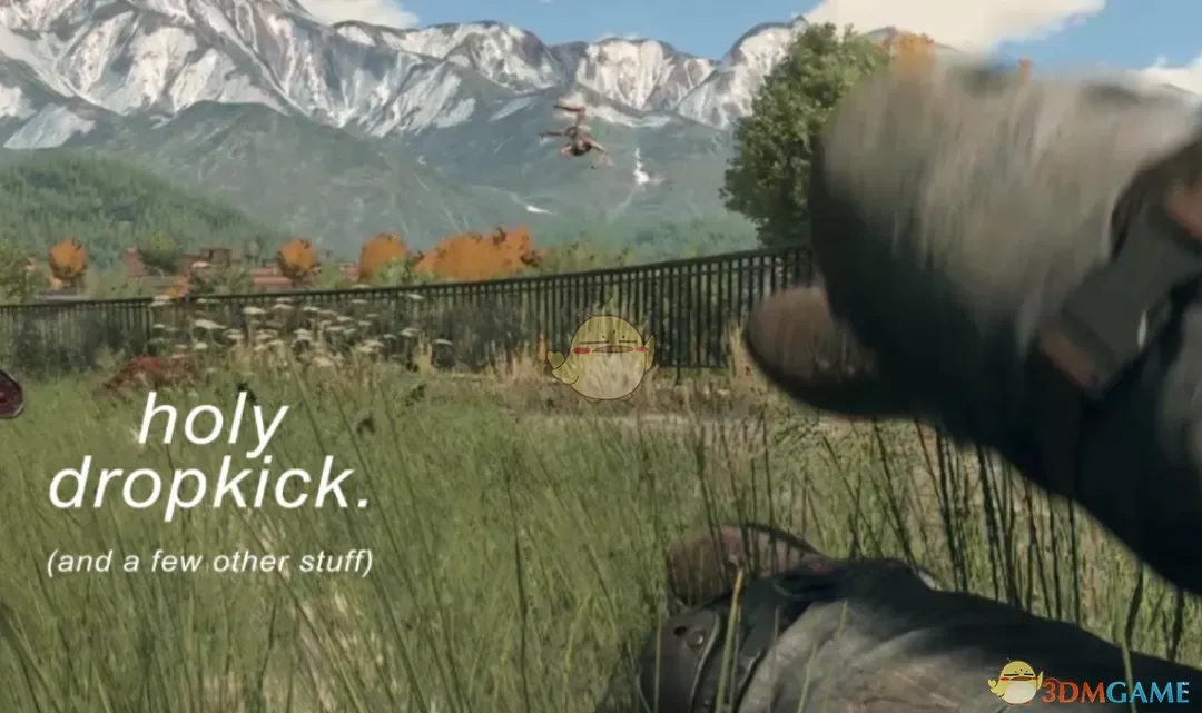 《消逝的光芒：困兽》更好的踢击MOD