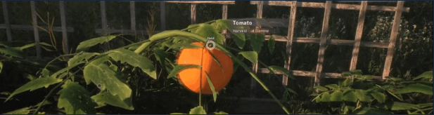 《绯花绽放》demo