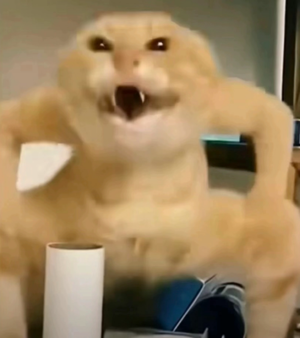 跟着圆头耄耋学跳舞,是日本美少女成为神人的必修课