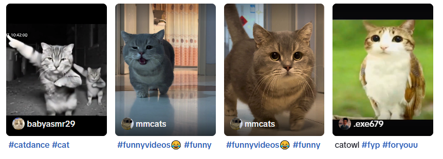 跟着圆头耄耋学跳舞,是日本美少女成为神人的必修课