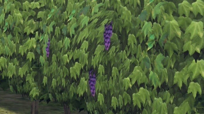 经典再现!《宝可梦传说 Z-A》葡萄园低模被调侃致敬《最终幻想14》 3 经典再现!《宝可梦传说 Z-A》葡萄园低模被调侃致敬《最终幻想14》