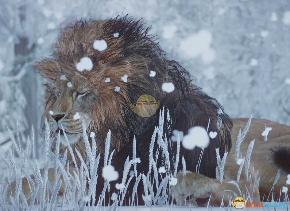 《动物园之星》新物种巴巴里狮子MOD