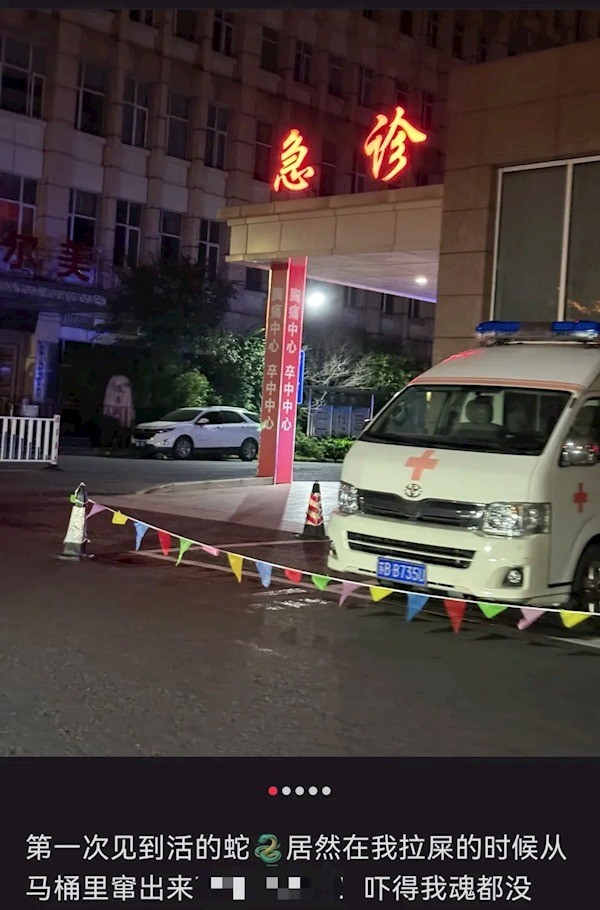 江苏一女子半夜上厕所 马桶里窜出一条蛇顶到屁股