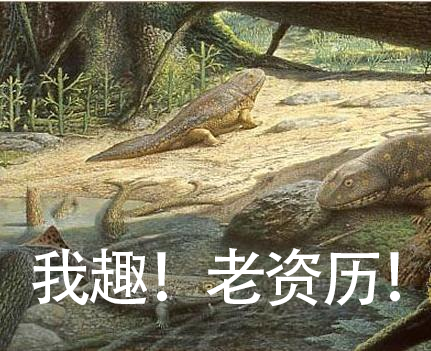 用AI生成的海边氛围三宫格，怎么内容变得越来越抽象了？