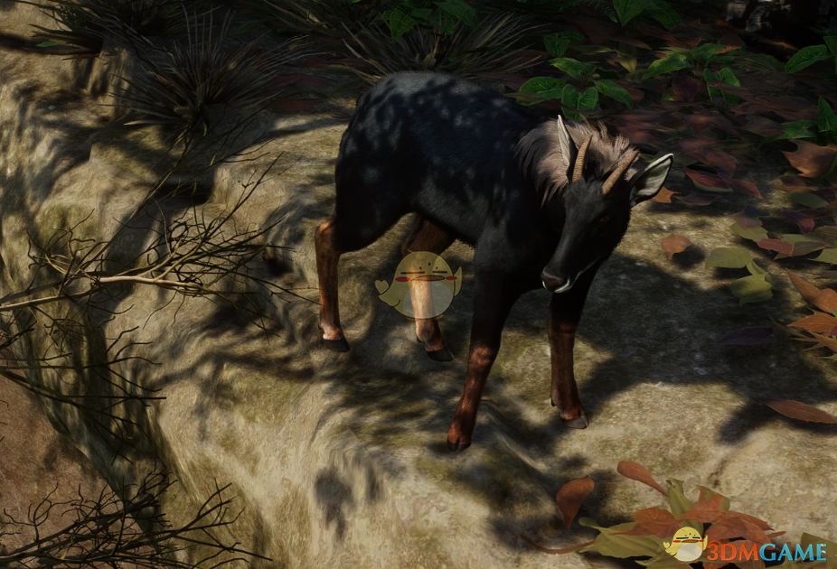 《动物园之星》新物种苏门羚MOD